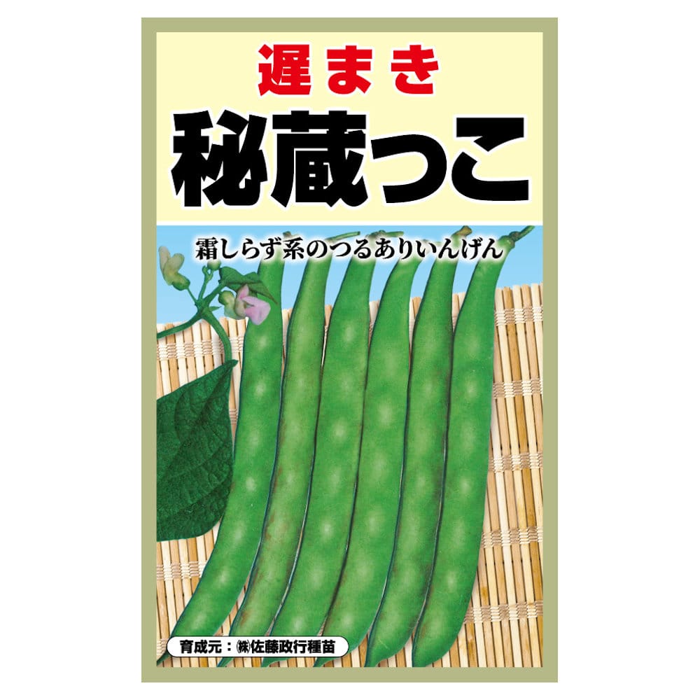 インゲン　秘蔵っ子