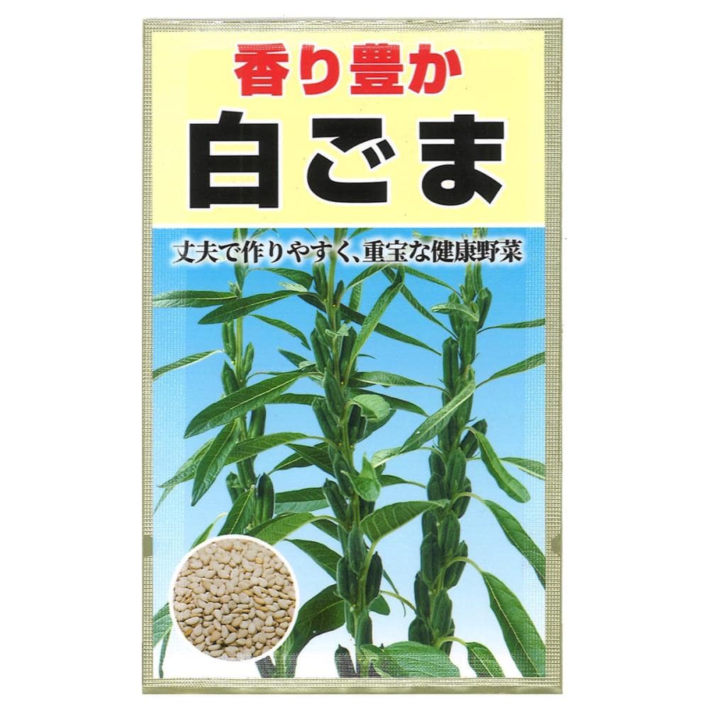 ゴマ種子　香り豊か　白ごま