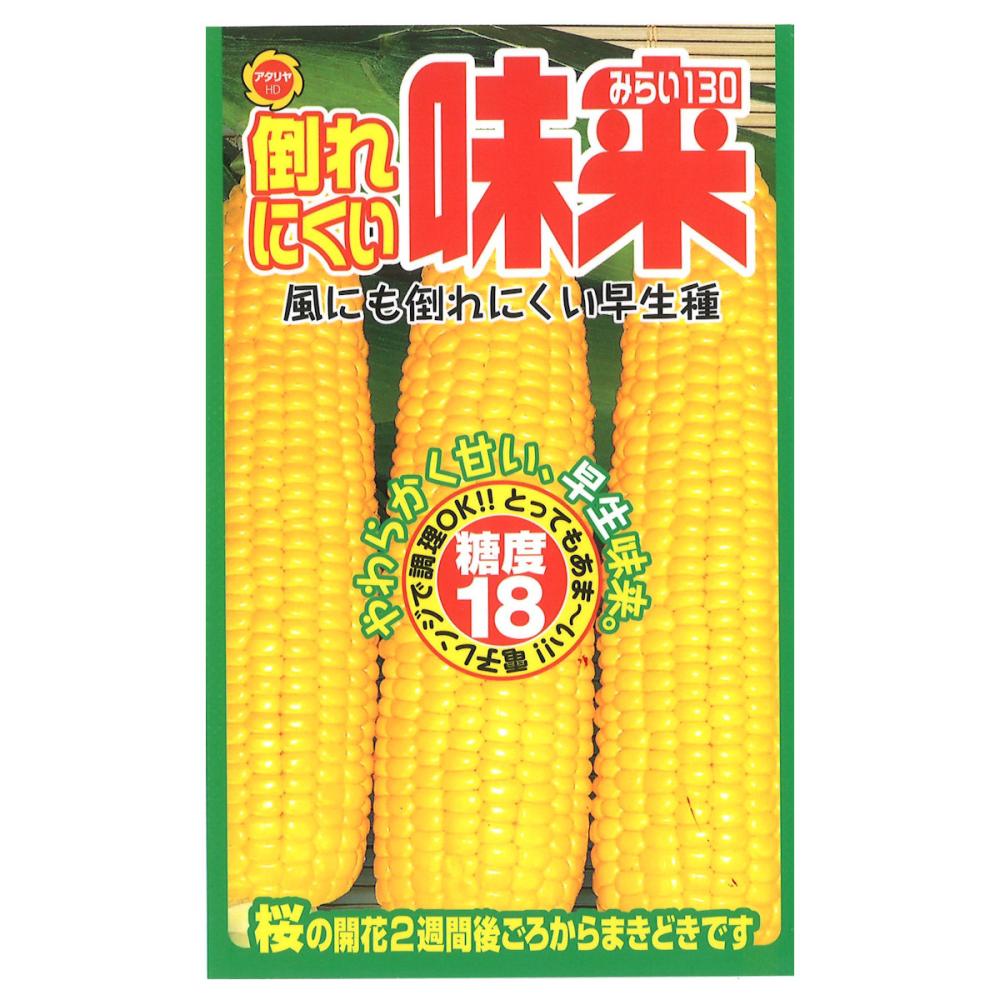 トウモロコシ種子　倒れにくい　早生味来１３０