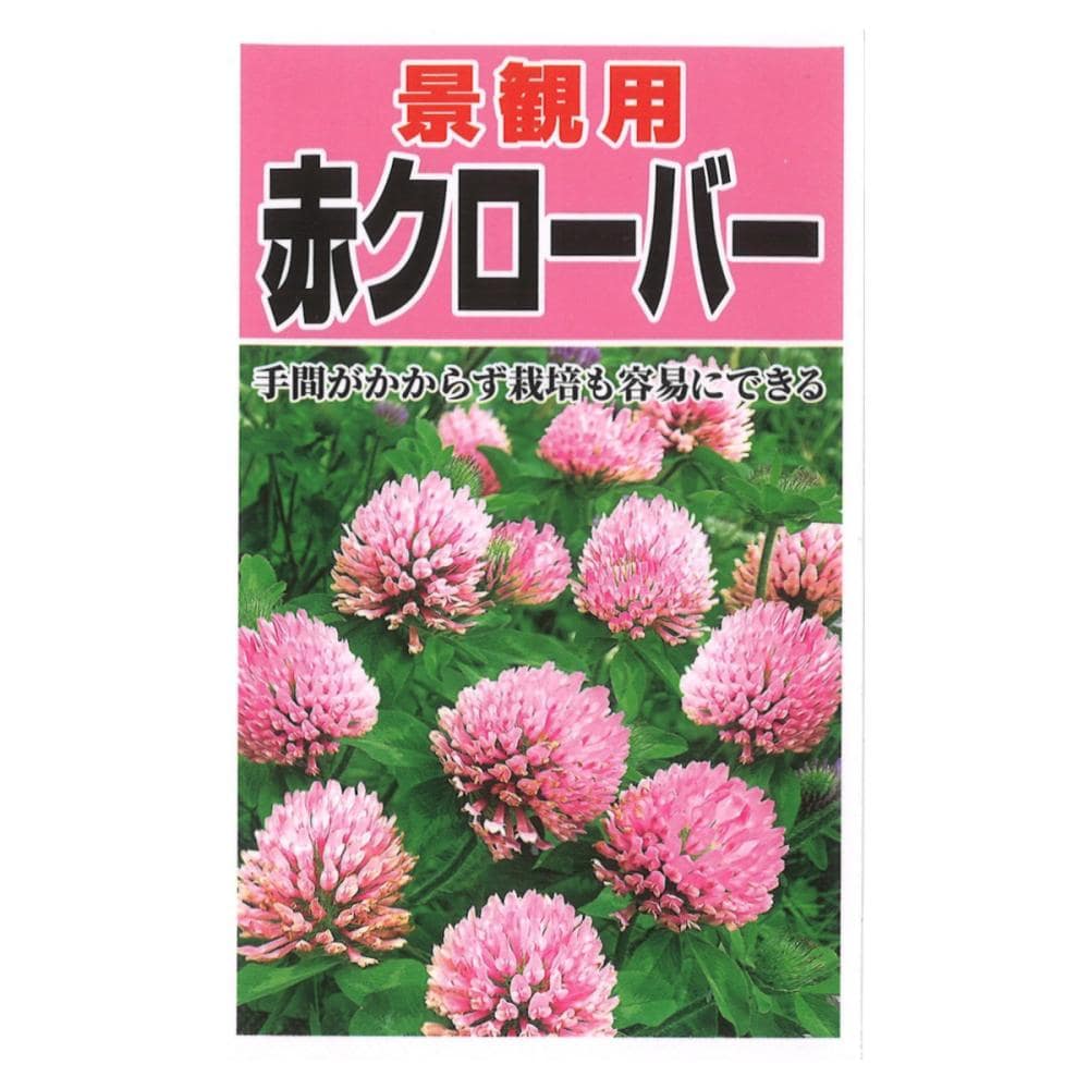 赤クローバー