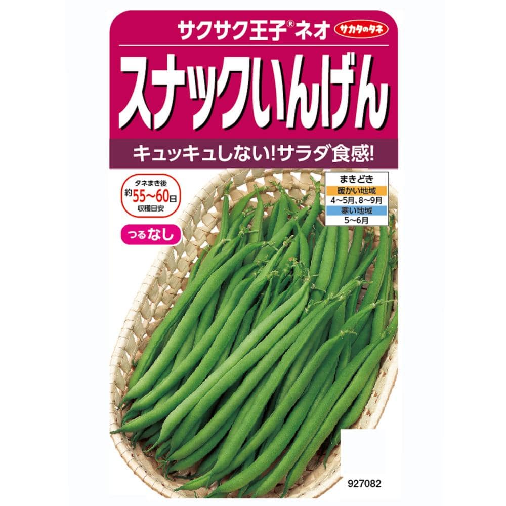 インゲン種子　スナックいんげん　サクサク王子ネオ