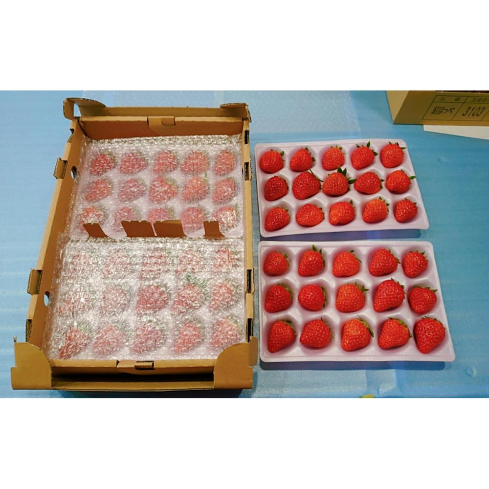 【ご注文期限：2026年5月20日】岐阜県産　紅ほっぺいちご　約１ｋｇ（約２５０ｇ×４パック）