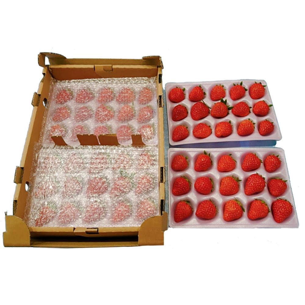 【注文期限：2026年5月20日】岐阜県産　紅ほっぺ　約２ｋｇ