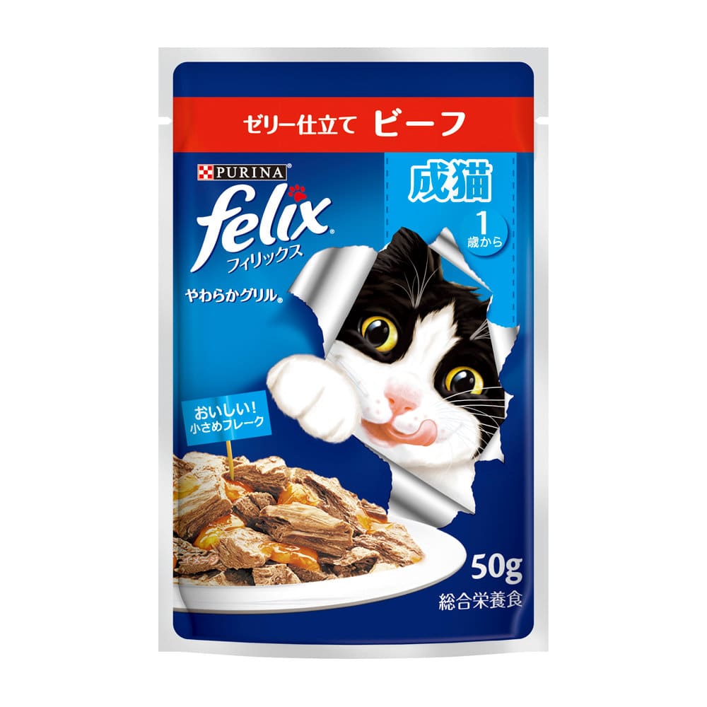 成猫１歳から　ビーフ