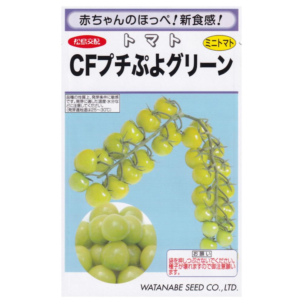 【宅配専用】　ミニトマト種子　プチぷよ　グリーン