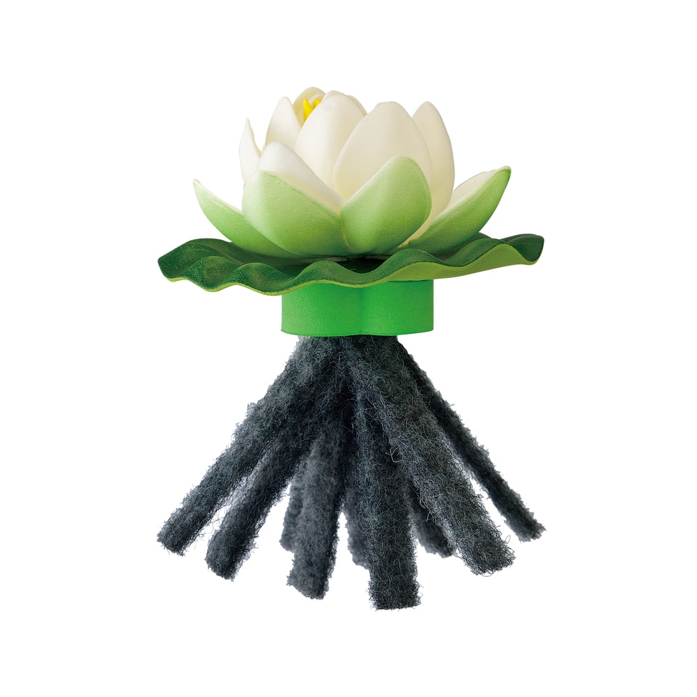 メダカ水景　メダカのお守り草　スイレン