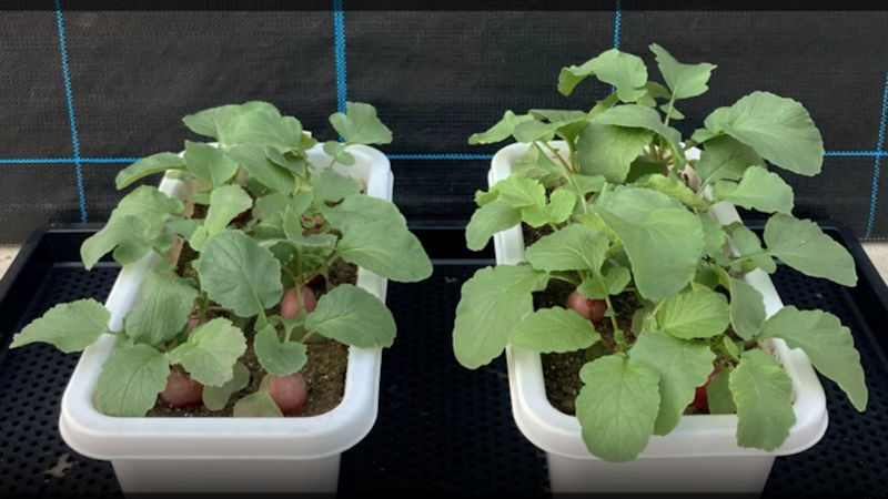 商品動画サムネイル