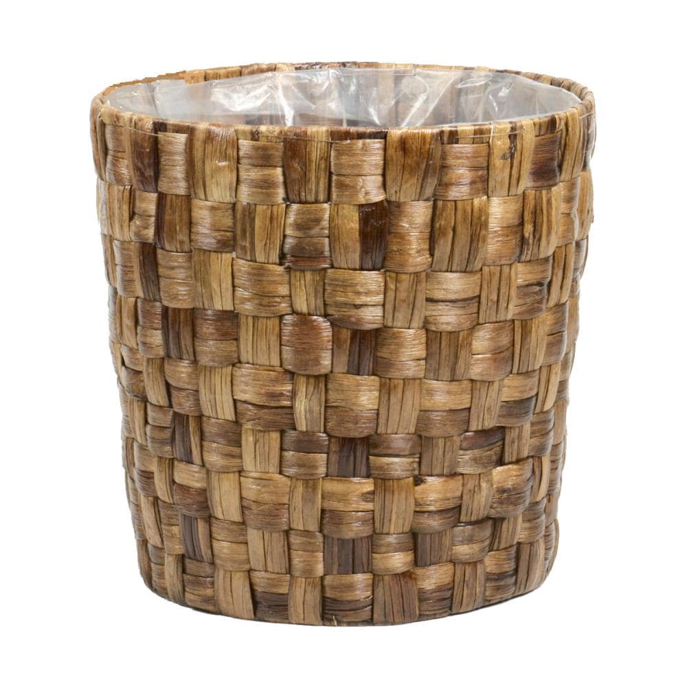 ヒヤシンスケンガイ１０号用　ブラウン