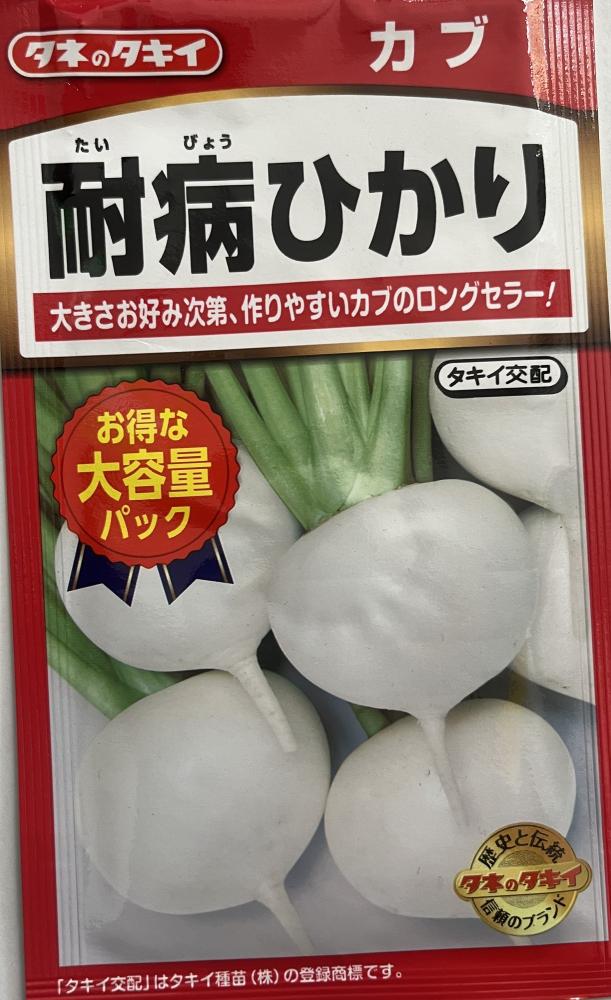 大容量パック　耐病ひかり