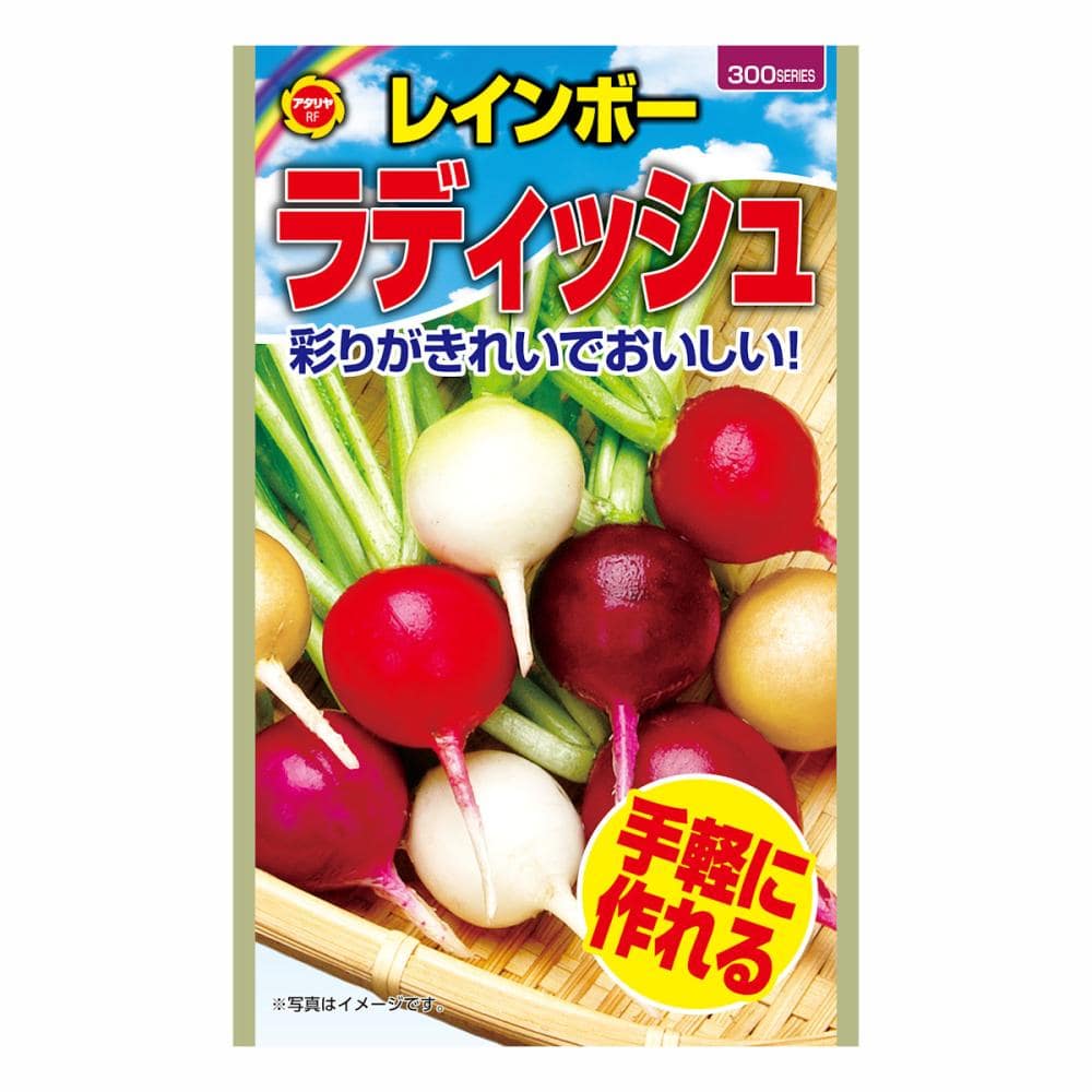 レインボーラディッシュ