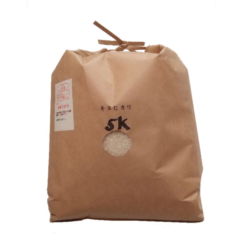 京都府産　令和７年度　キヌヒカリ　精米　５ｋｇ