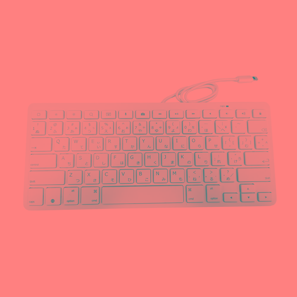 磁気研究所（ＨＩＤＩＳＣ）　ライトニング有線キーボード　ホワイト　ＨＤ－ＡＫ８ＰＩＮＷＨ