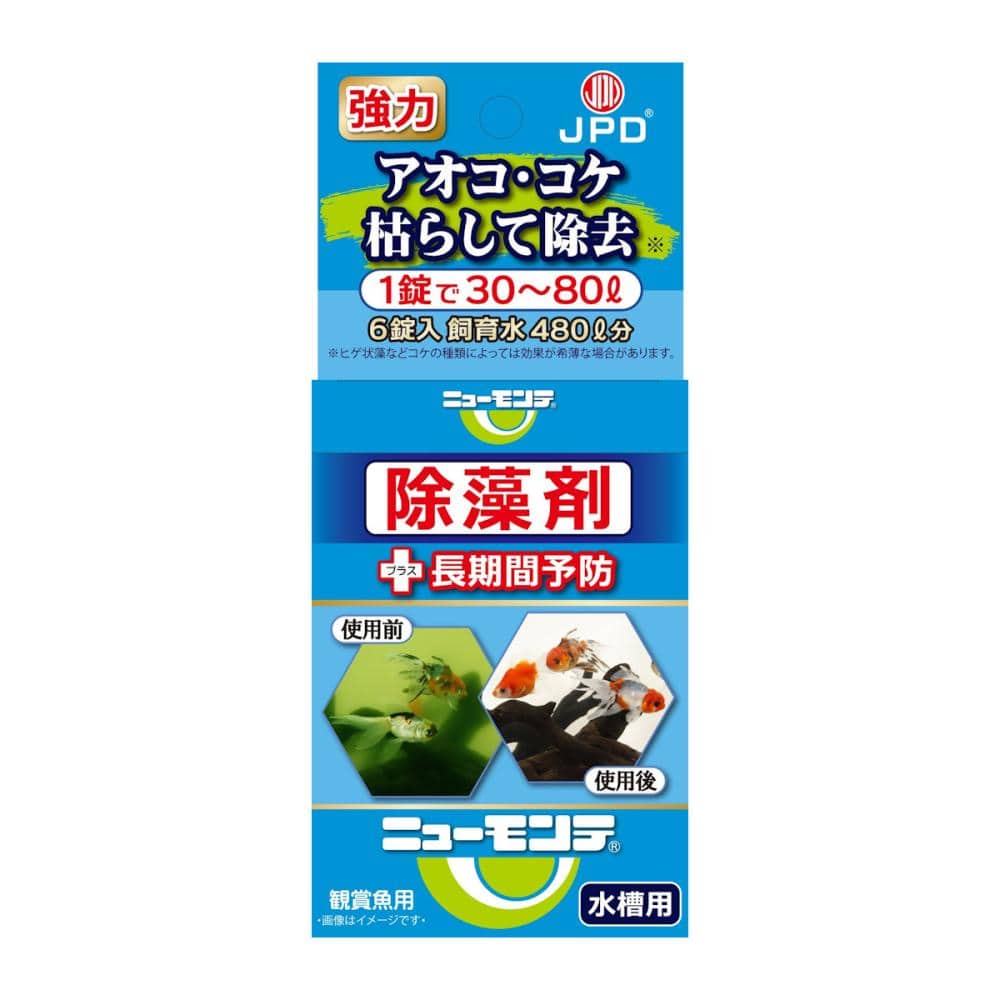 ニューモンテ６錠