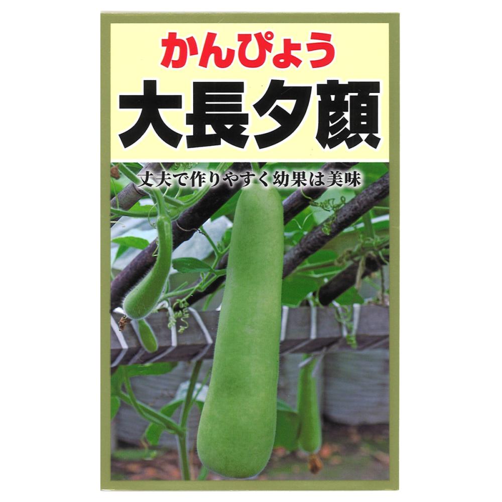 ウリ種子　かんぴょう　大長夕顔