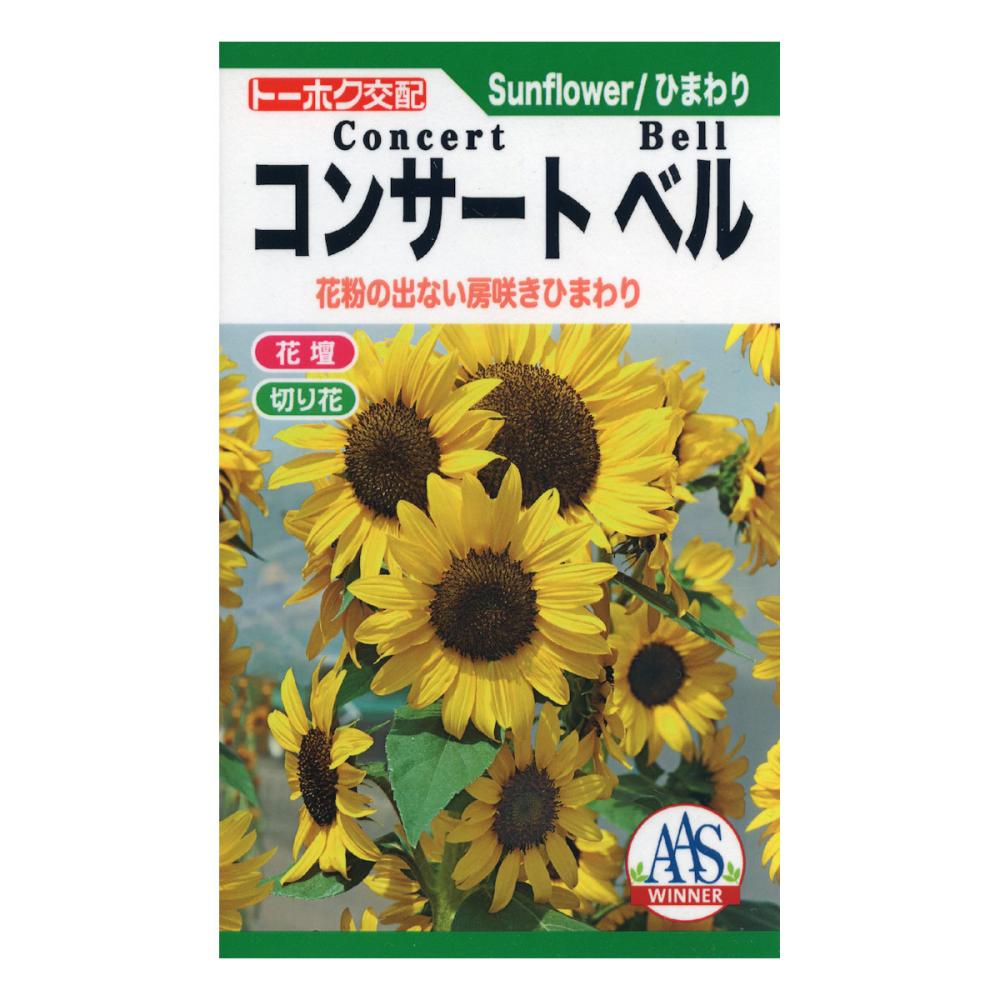 ヒマワリ種子　ひまわり　Ｆ１　コンサートベル
