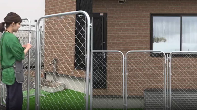 商品動画サムネイル