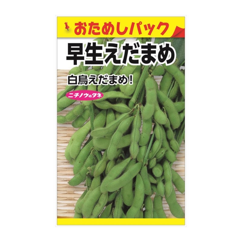 ニチノウのタネ　早生えだまめ　おためしパック