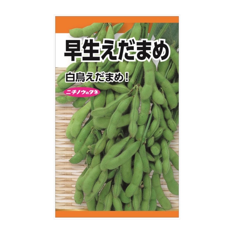 ニチノウのタネ　早生えだまめ