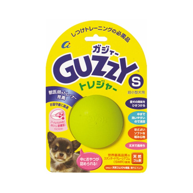 ガジィートレジャーＳ