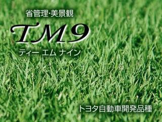 芝生ＴＭ９　２束（２㎡・宅配専用）