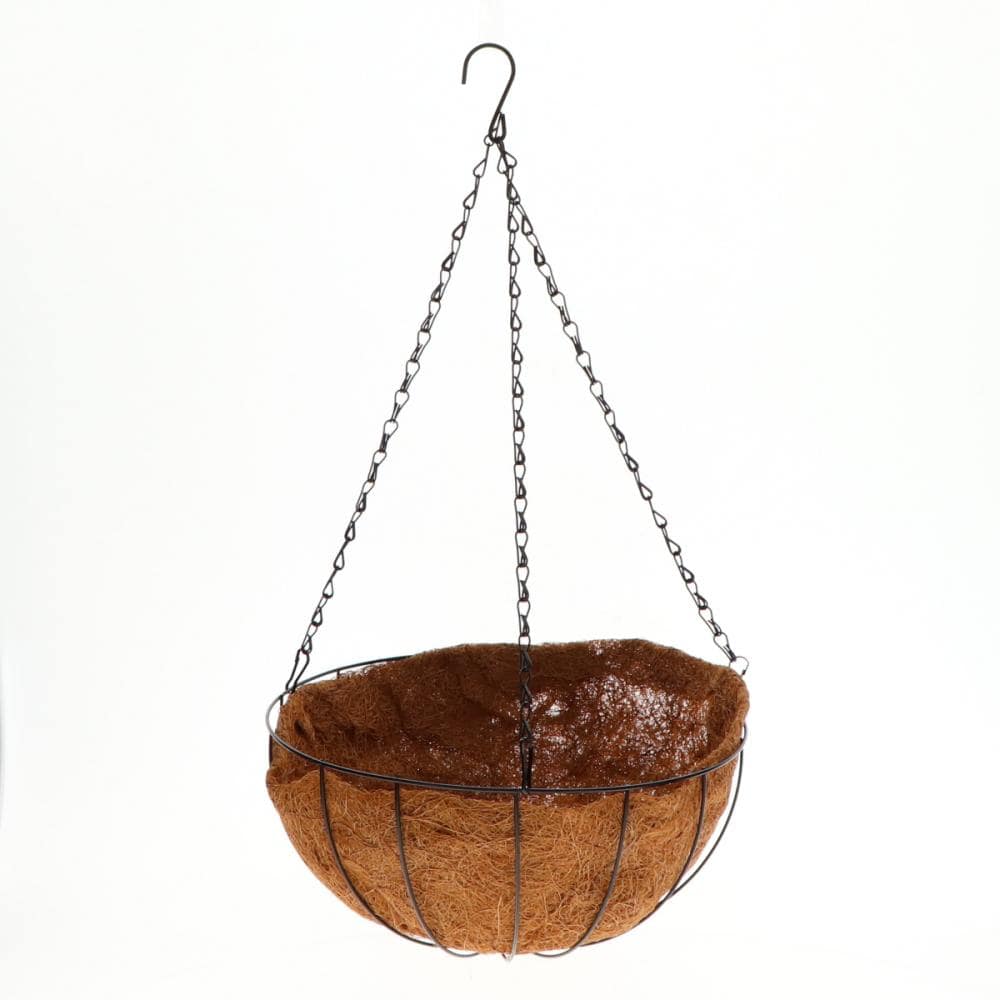 Ｂｒｅｅｚｙ　Ｇｒｅｅｎ　ハンギングバスケット　Ｍ