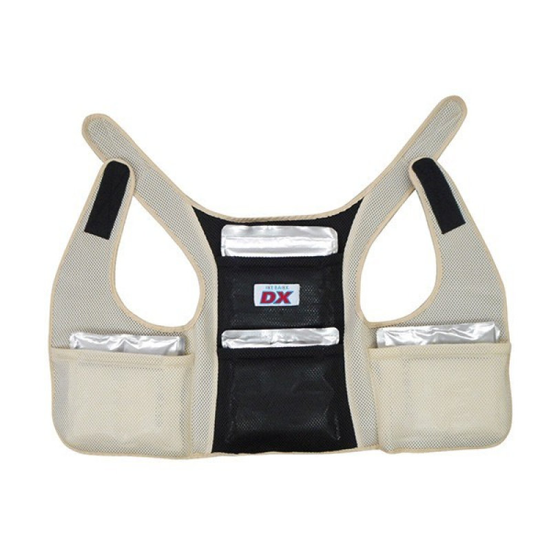 ブレイン　アイスバック（Ｒ）ＤＸ　ベージュ　（アルミ保冷剤４個付）　ＢＲ－５５１