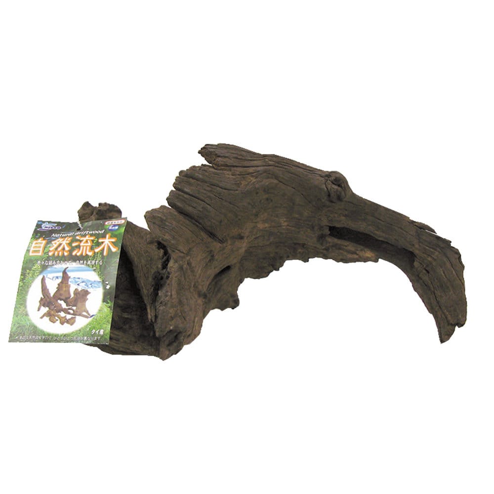 自然流木　大