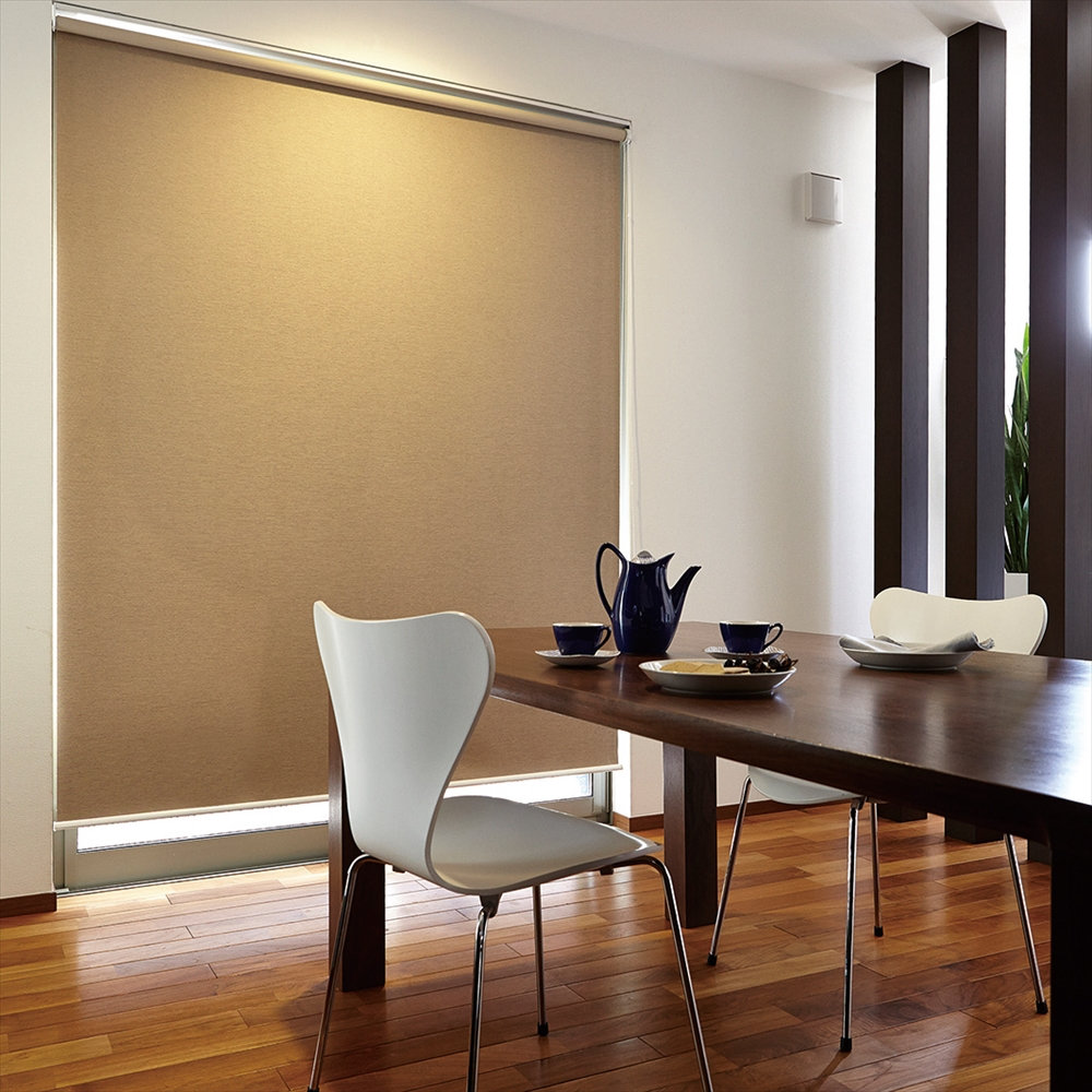 トーソー　オーダーロールスクリーンラビータＭ　チェーン式　幅３０～６０高６１～１００ｃｍ