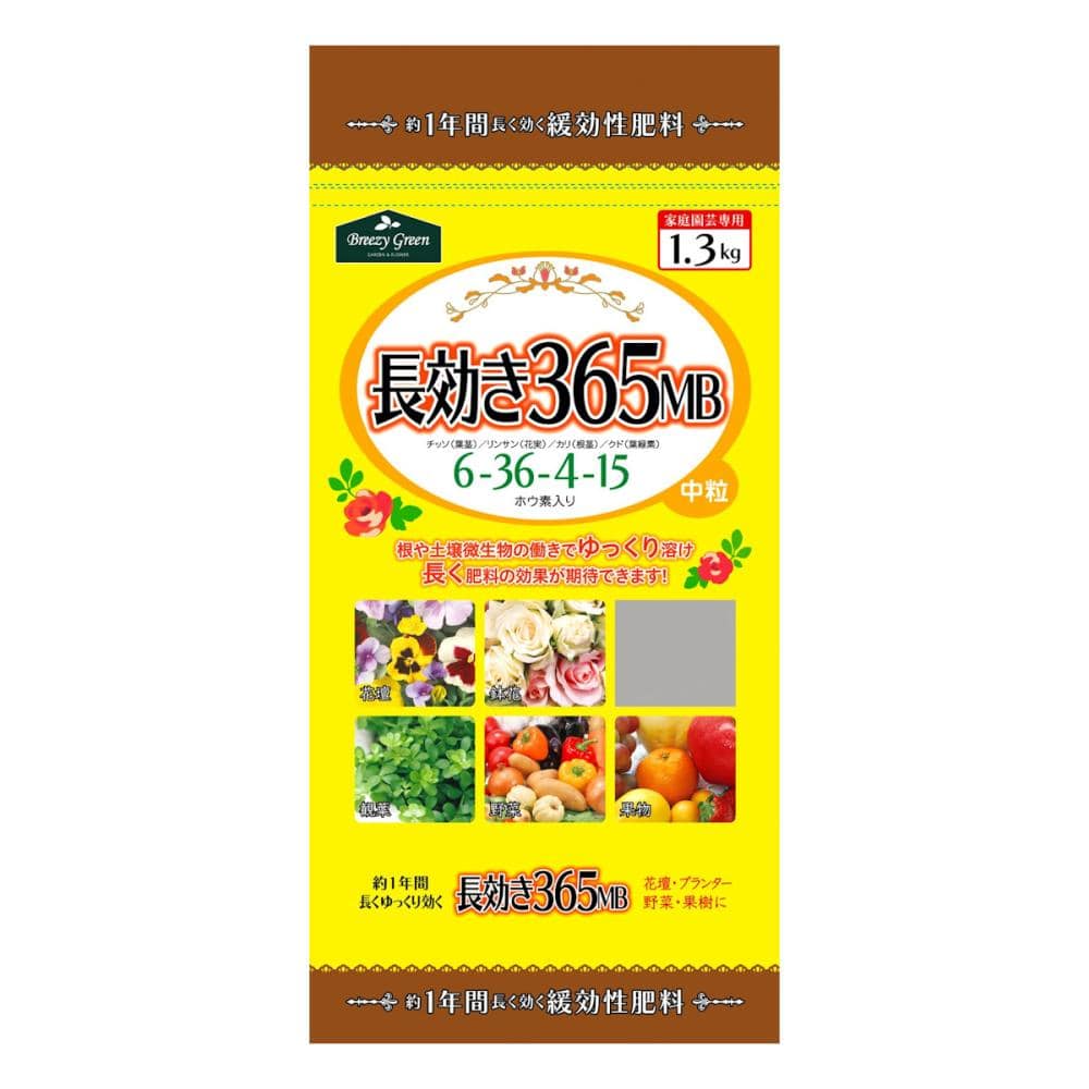 長効き３６５ＭＢ