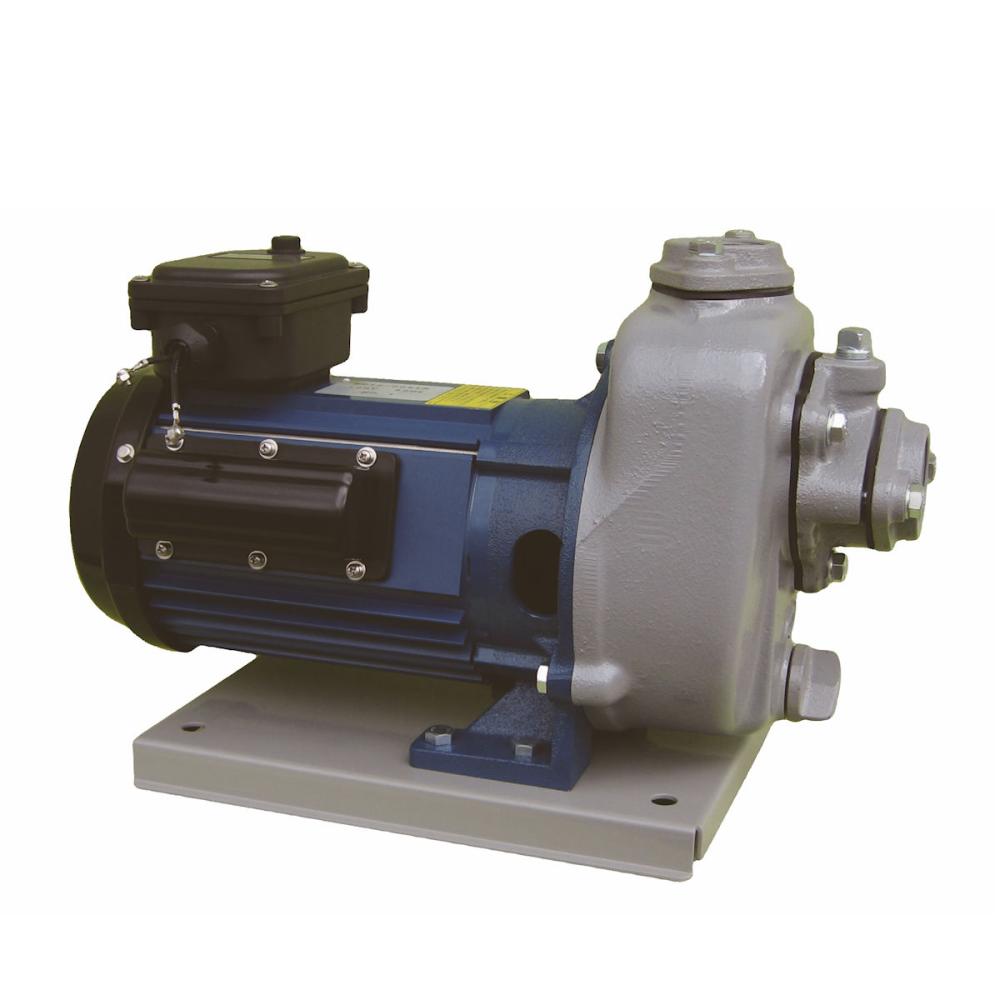 寺田ポンプ　セルプラポンプ　全閉外扇屋外形電動機付　ＭＰ２Ｎ－００２１Ｒ　６０Ｈｚ