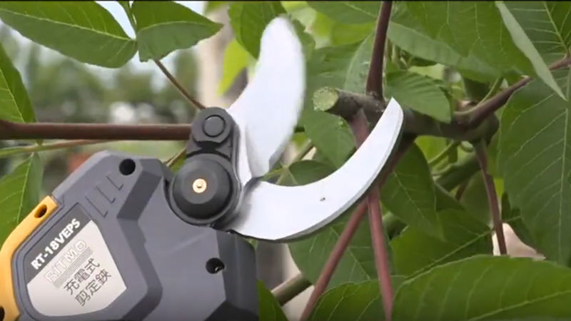 商品動画サムネイル