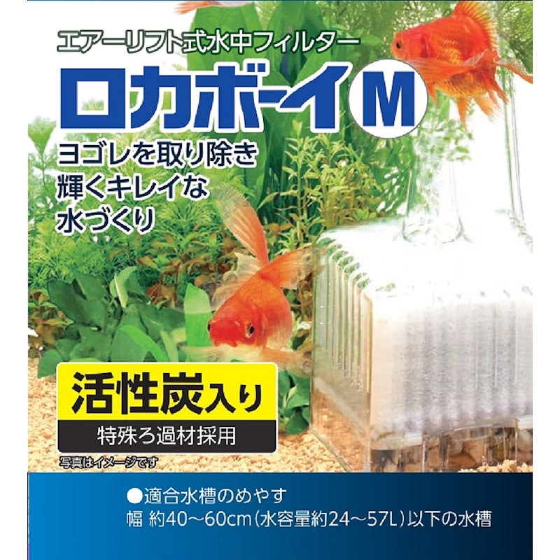 Ｐｅｔａｍｉ　ロカボーイ　Ｍ