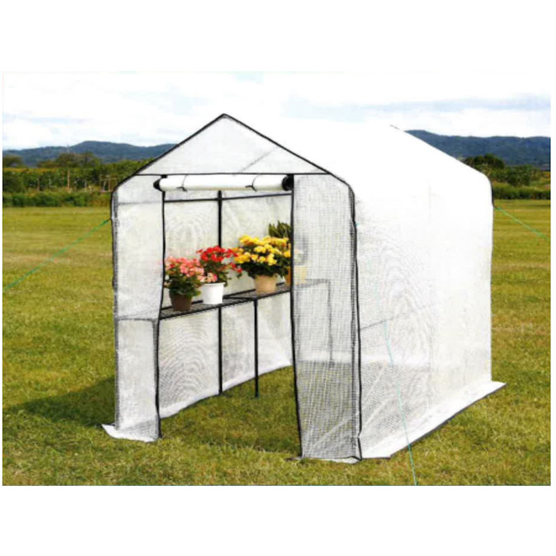 Ｂｒｅｅｚｙ　Ｇｒｅｅｎ　ビニール温室　特大　ＫＭ－２３ＴＤ