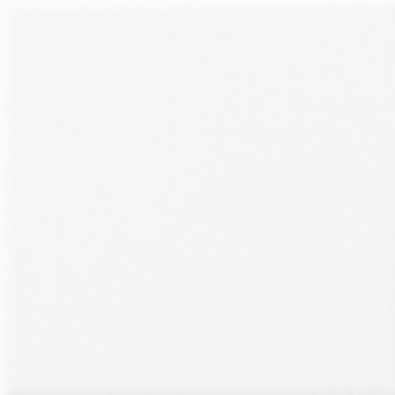 ＬＩＸＩＬ　内装壁タイル　ジキーナ　ブライト釉　ＪＩＮー１００ＮＥＴ／０１