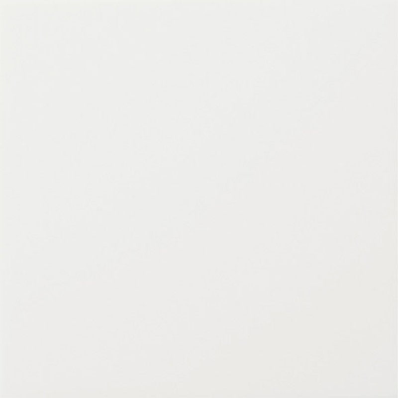 ＬＩＸＩＬ　内装壁タイル　ジキーナ　ブライト釉　ＪＩＮー１００ＮＥＴ／０３