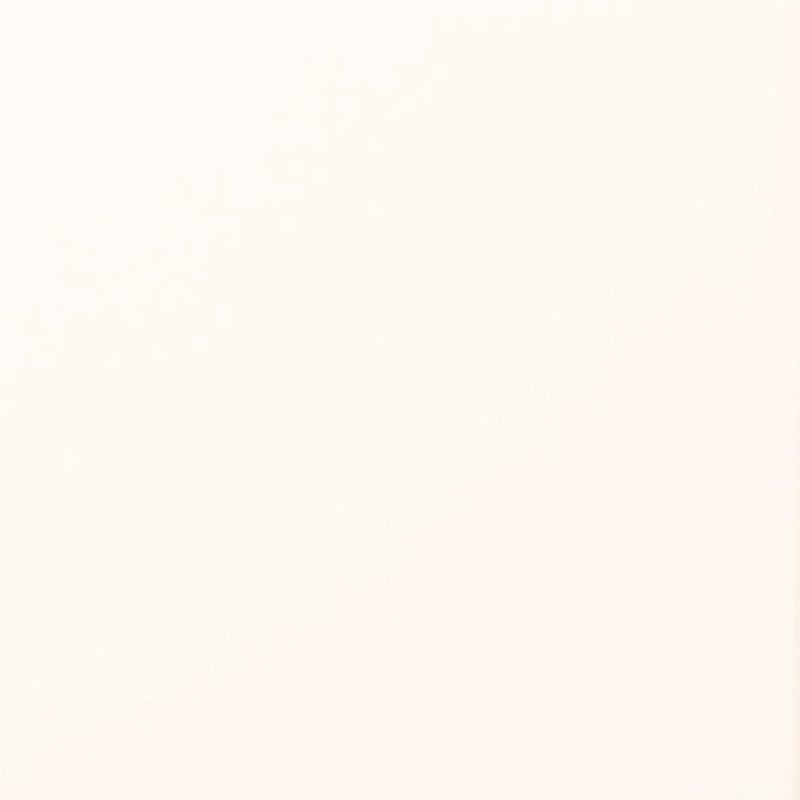 ＬＩＸＩＬ　内装壁タイル　ジキーナ　ブライト釉　ＪＩＮー１００ＮＥＴ／１６