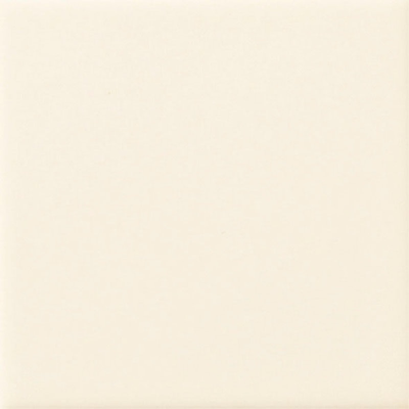 ＬＩＸＩＬ　内装壁タイル　ジキーナ　ブライト釉　ＪＩＮー１００ＮＥＴ／１２