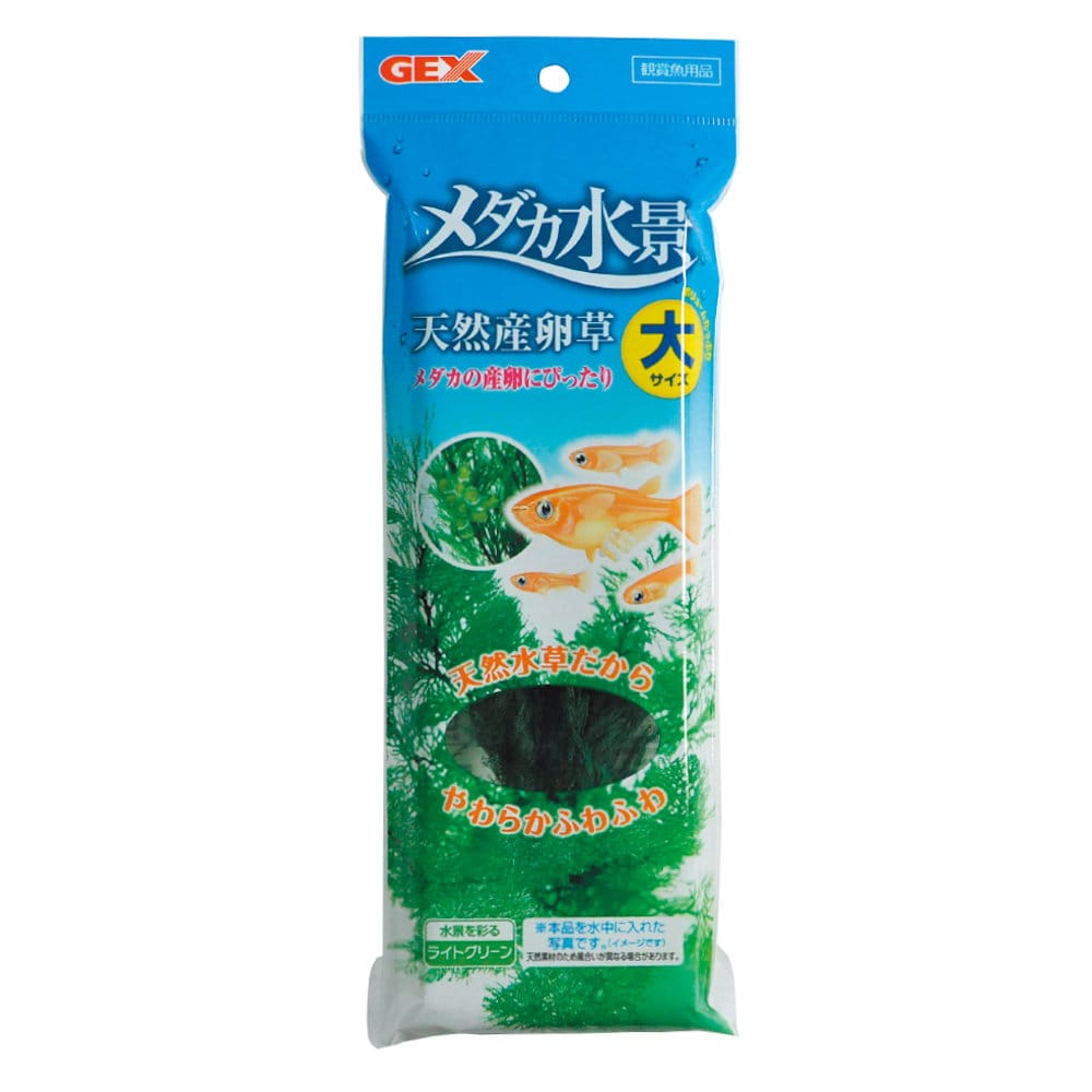 ジェックス　ＧＥＸ　メダカ水景　天然産卵草　大