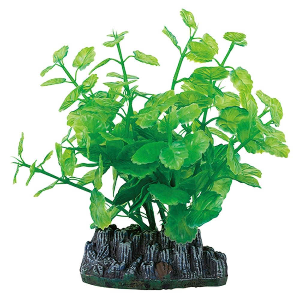 マルカン　ニッソー　ぶくぶくプランツ　曲げれるチドメグサ　Ｓ