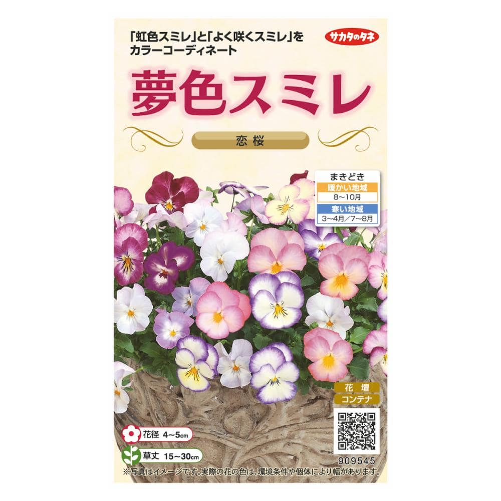 夢色スミレ　恋桜