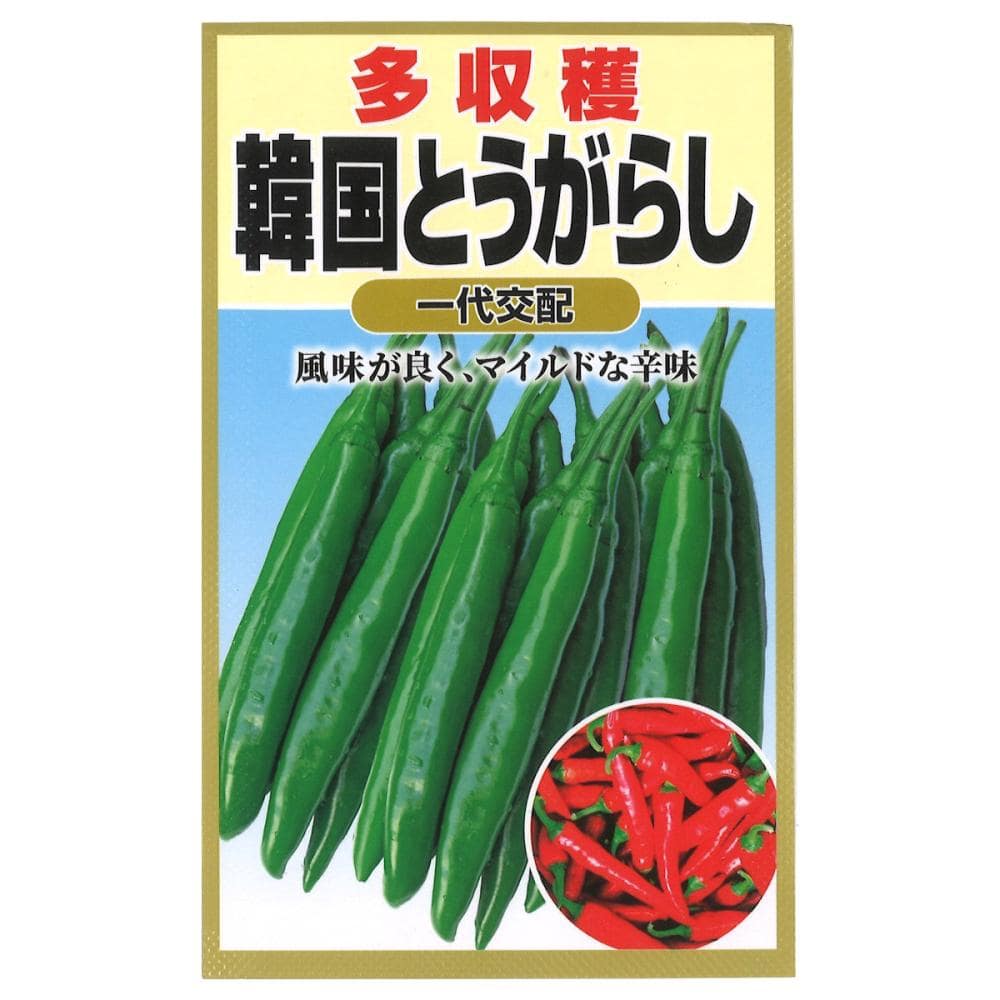 韓国とうがらし