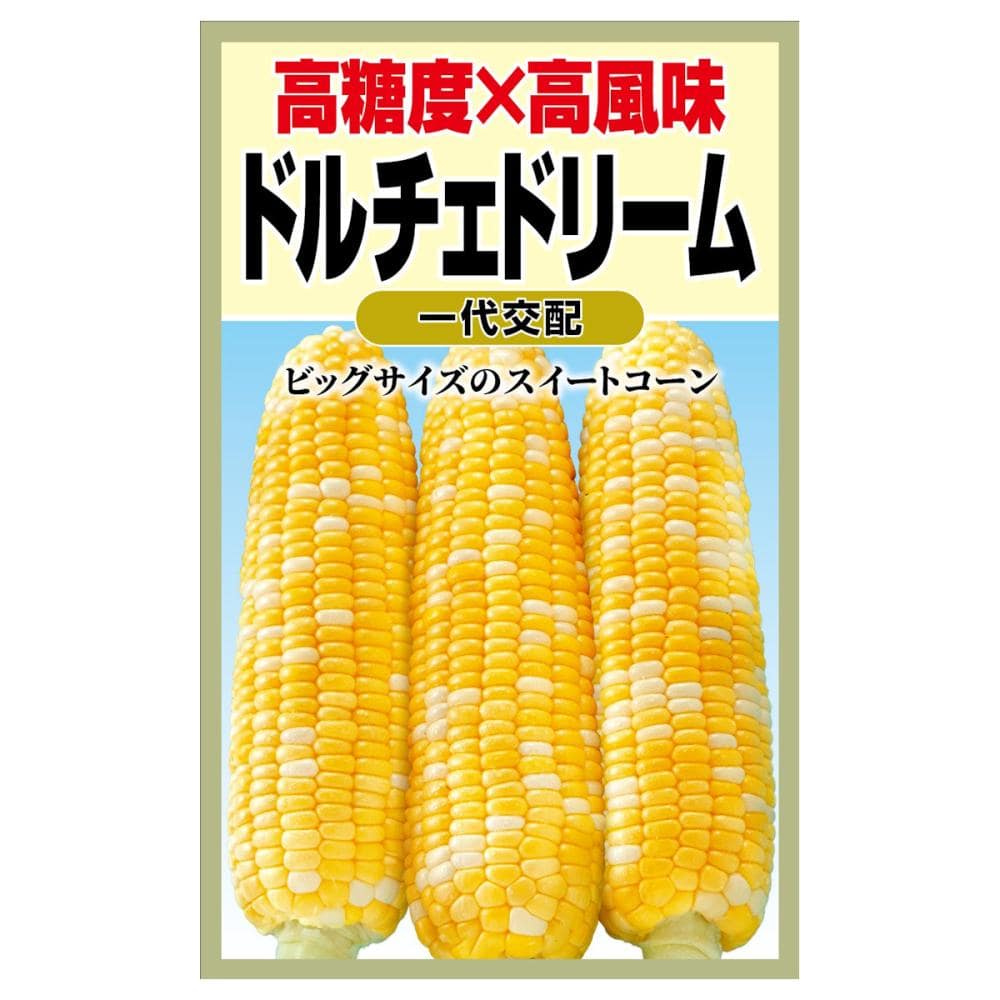 トウモロコシ種子　高糖度×高風味　ドルチェドリーム