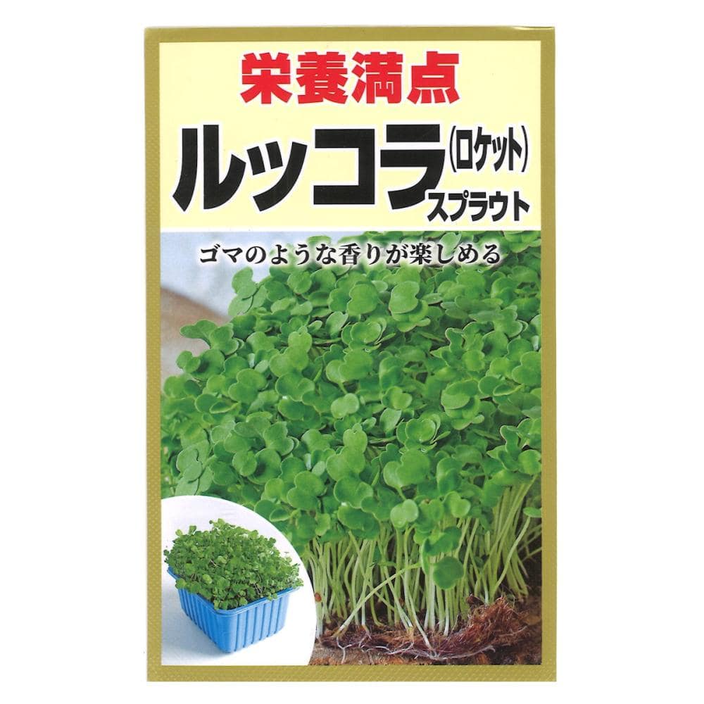 スプラウト種子　栄養満点　スプラウト　ルッコラ
