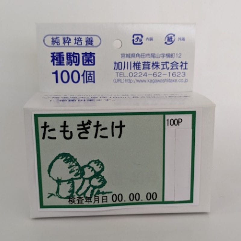 【宅配専用】　たもぎたけ　種駒　１００駒