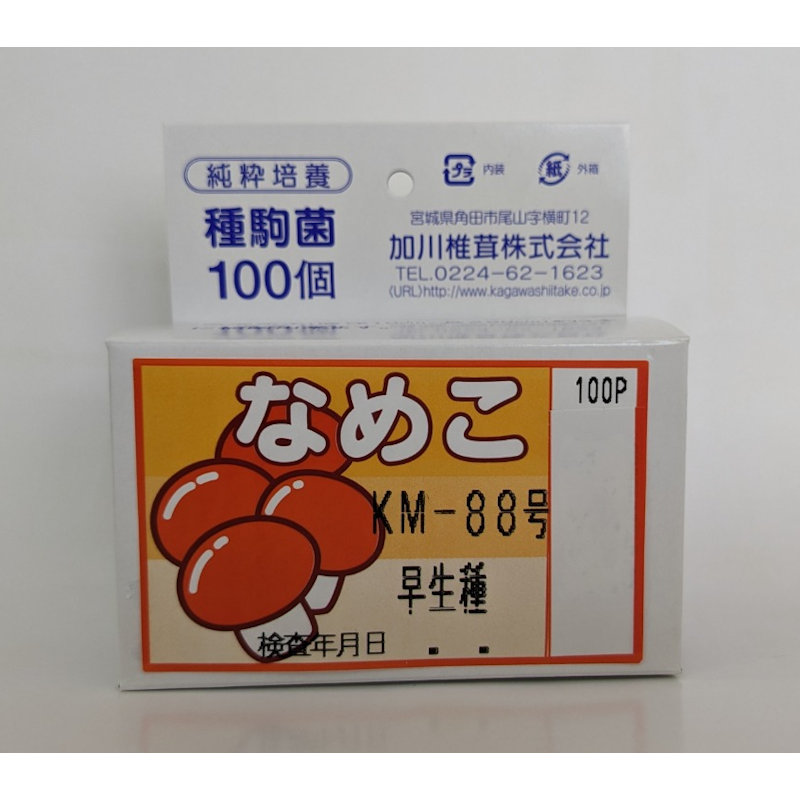 【宅配専用】　なめこ　種駒　ＫＭ－８８号　早生種　１００駒