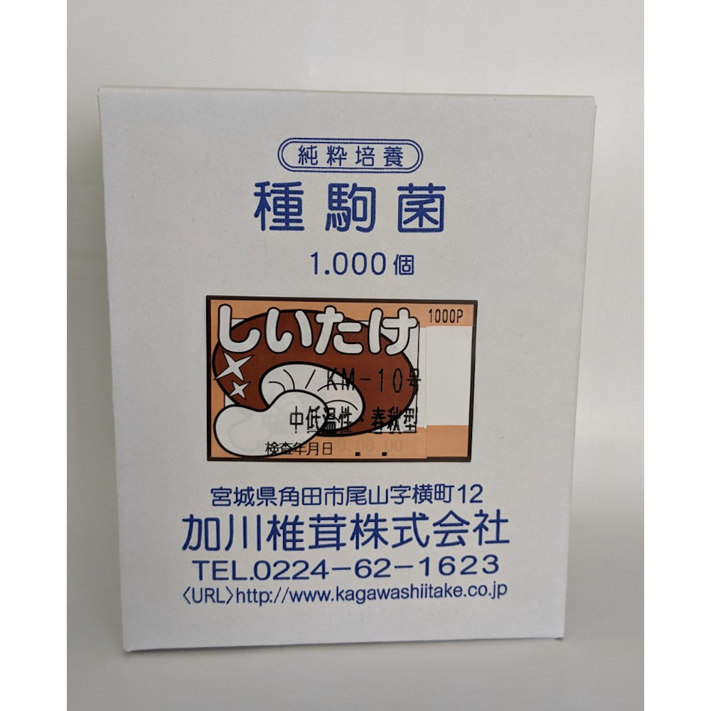 【宅配専用】　しいたけ　種駒　ＫＭ－１０号　中低温性・春秋型　１０００駒