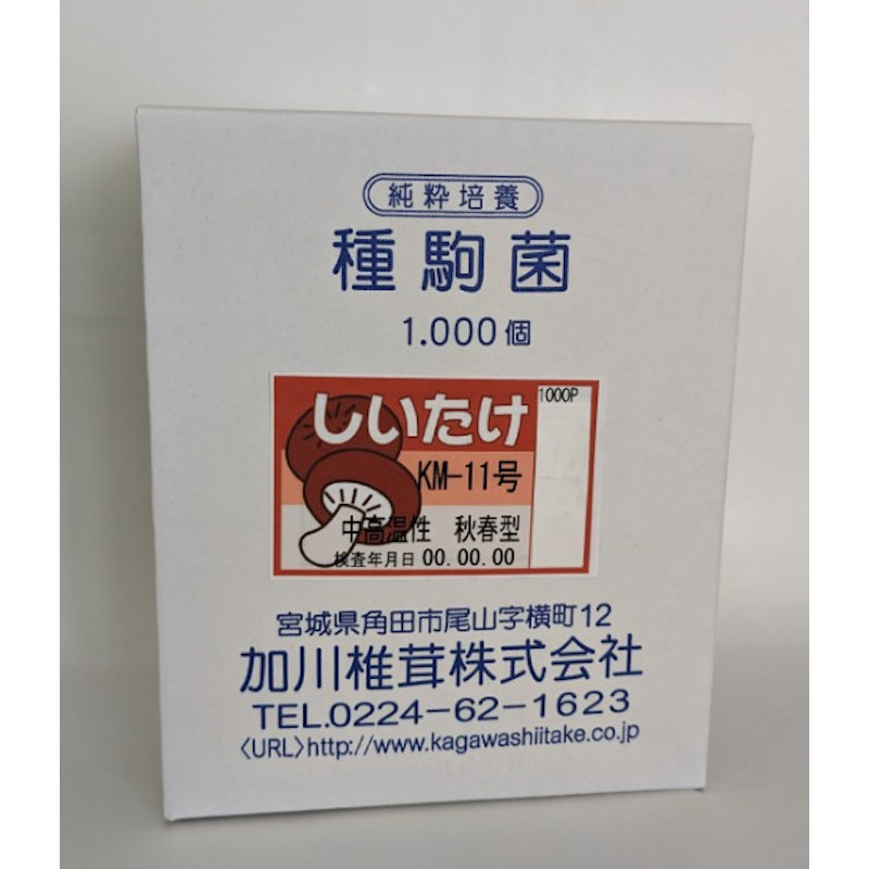【宅配専用】　しいたけ　種駒　ＫＭ－１１号　中高温性・周年型　１０００駒