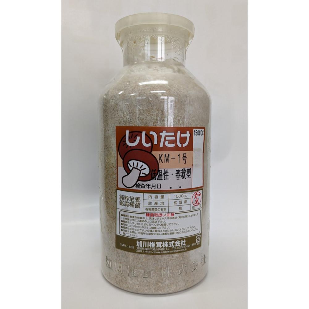 【宅配専用】　しいたけ　種菌　ＫＭ－１号　低温性・春秋型　１５００ｃｃ