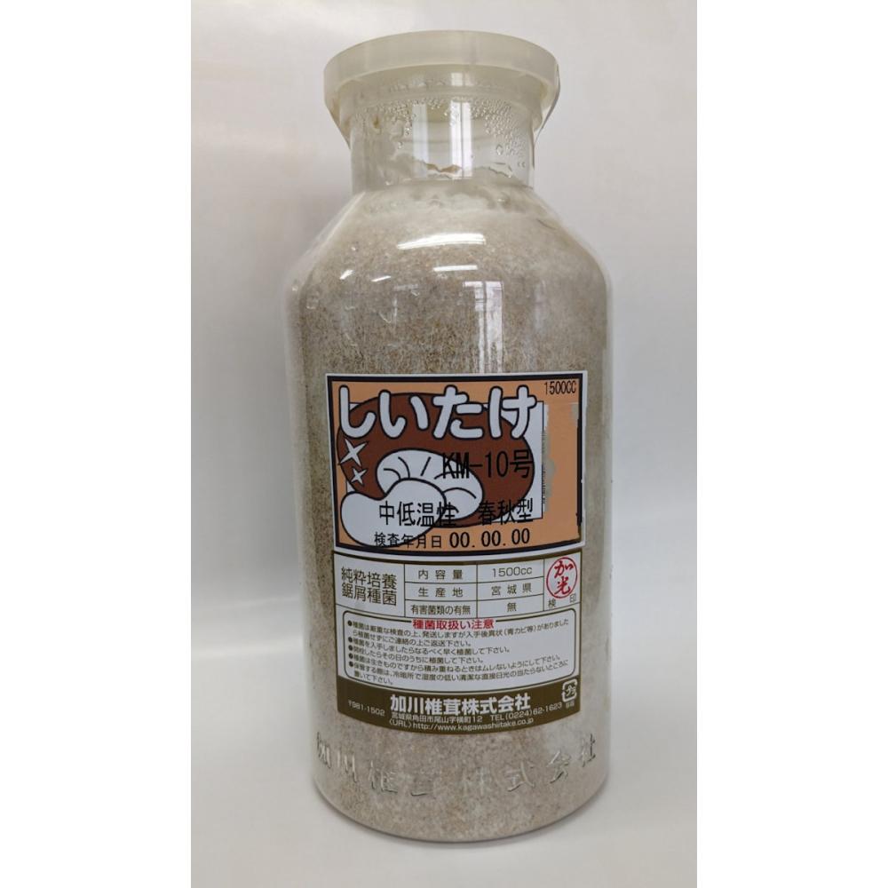 【宅配専用】　しいたけ　種菌　ＫＭ－１０号　中低温性・春秋型　１５００ｃｃ