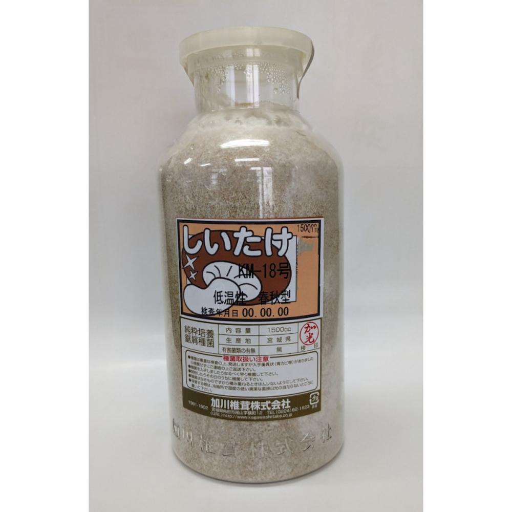 【宅配専用】　しいたけ　種菌　ＫＭ－１８号　低温性・春秋型　１５００ｃｃ